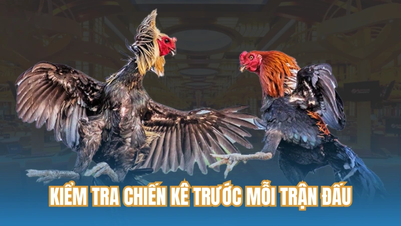 Kiểm tra chiến kê trước mỗi trận đấu