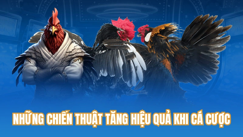 Những chiến thuật tăng hiệu quả khi cá cược