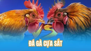 Đá Gà Cựa Sắt