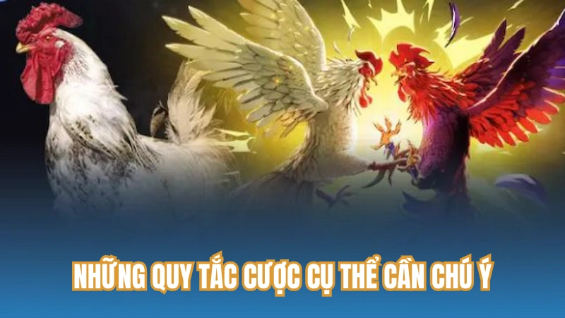 Những quy tắc cược cụ thể cần chú ý