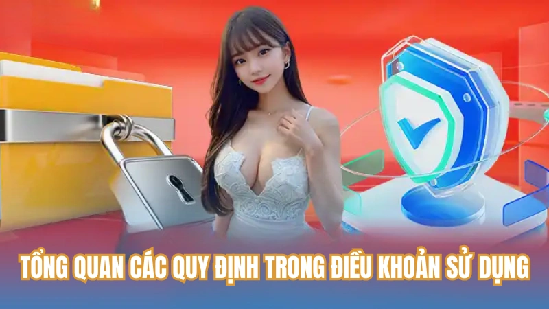 Tổng quan các quy định trong điều khoản sử dụng