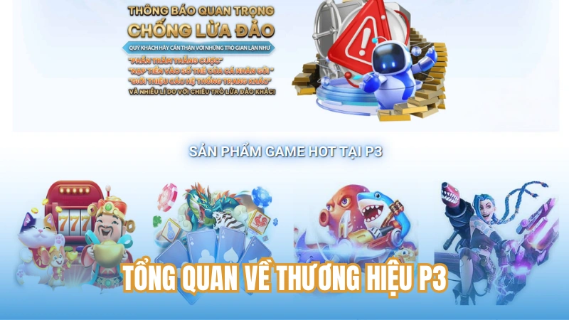 Tổng quan về thương hiệu P3