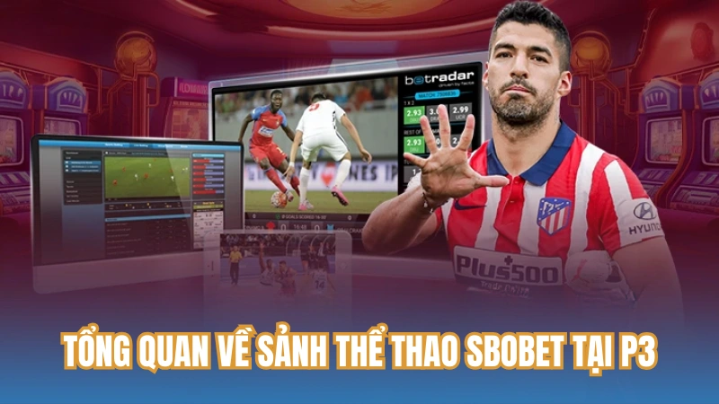 Tổng quan về sảnh thể thao Sbobet tại P3